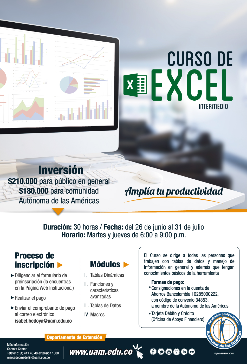 Curso EXCEL Curvas Afiche