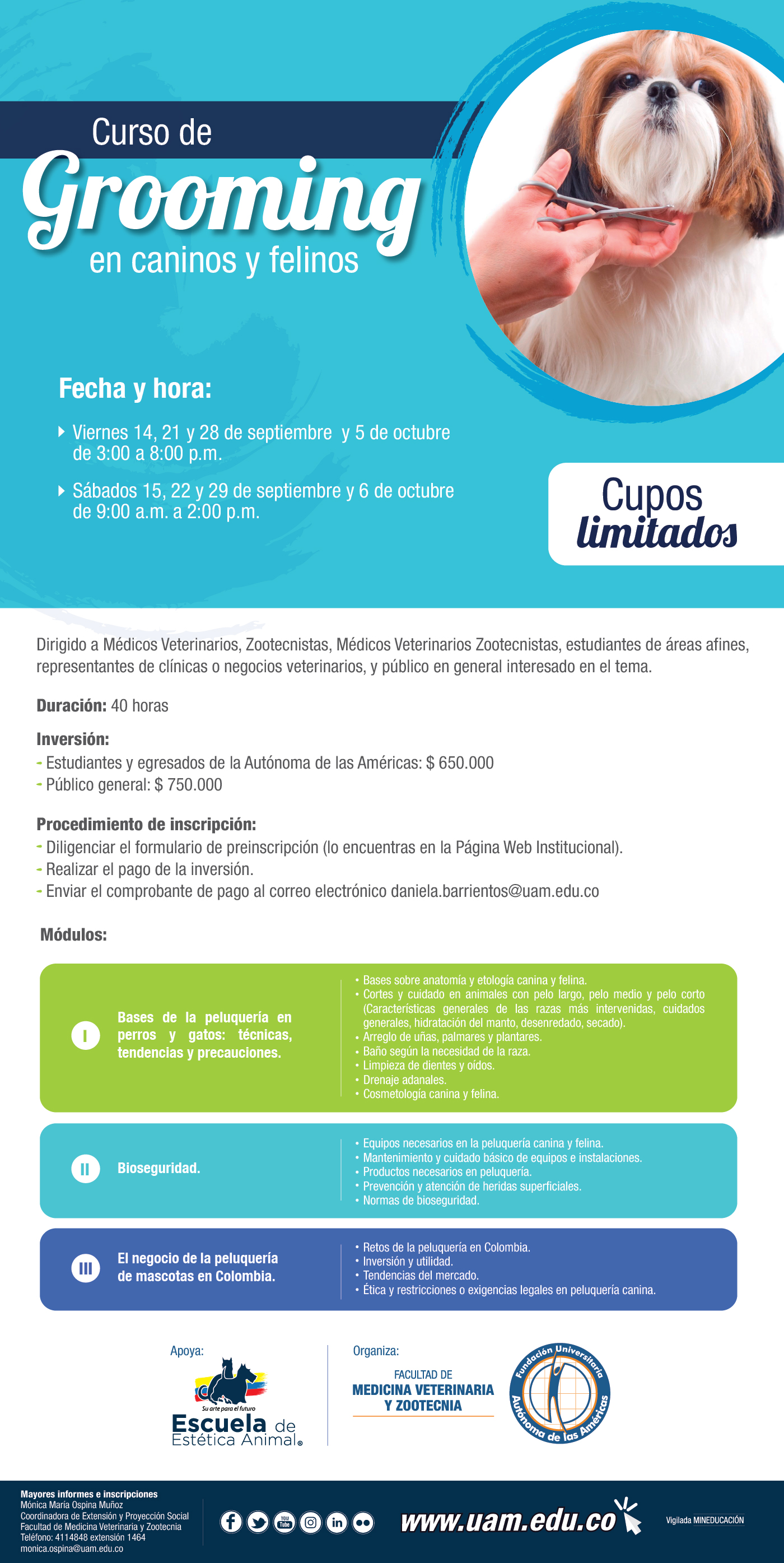 Curso Grooming MAILING